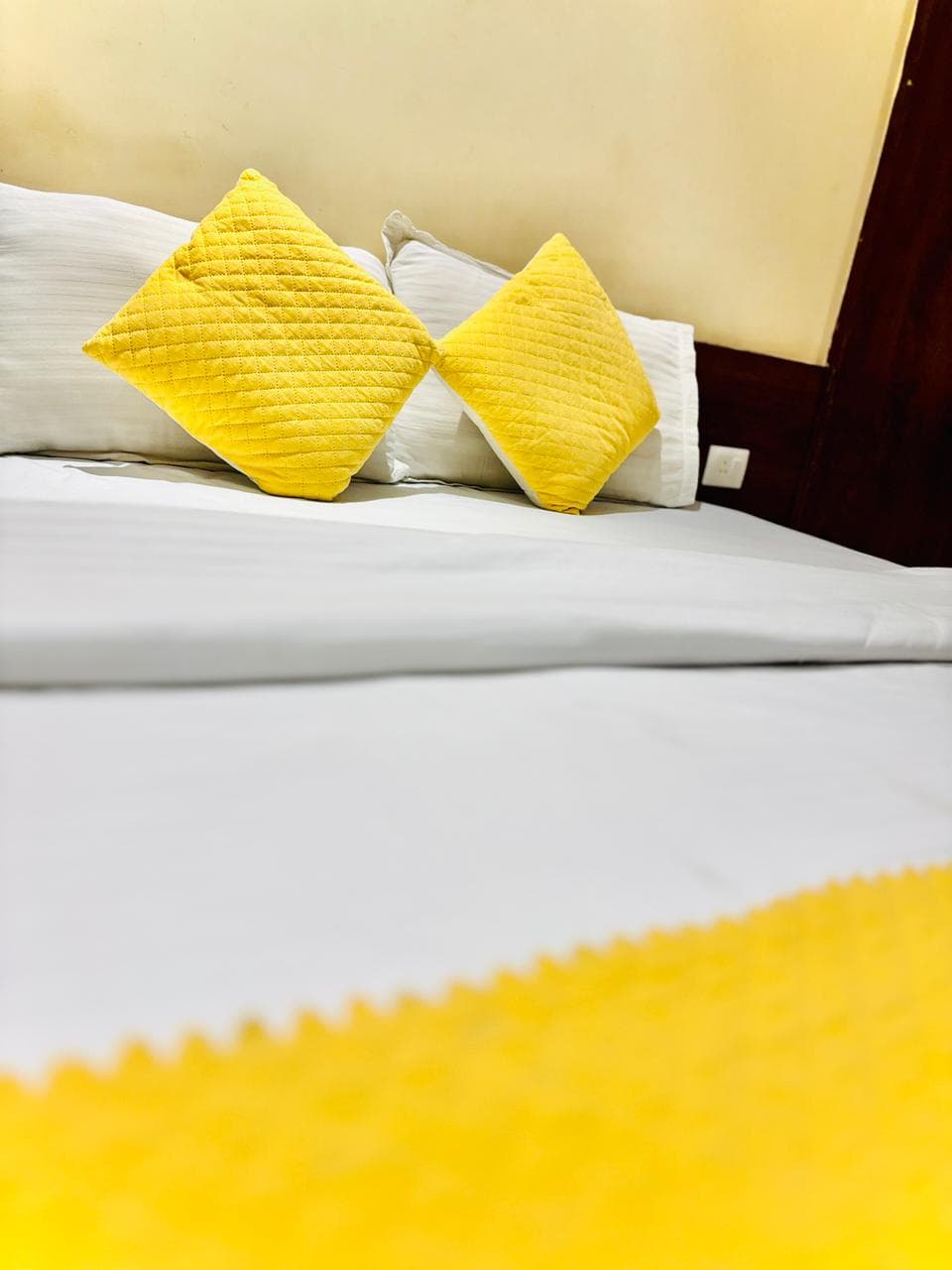 Deluxe Room A/C - View 10